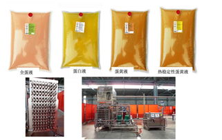 乌克兰蛋鸡产业 全球前十的养殖特点与家禽概况