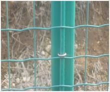 供应养殖防护用铁丝网 筑起家禽养殖的安全与高效屏障