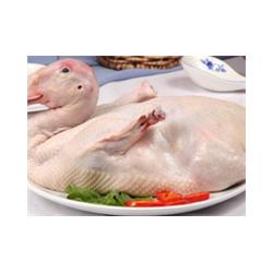 苏州北半球食品 连接衢州生态养殖与高效配送的家禽供应链